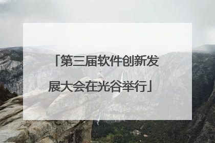 第三届软件创新发展大会在光谷举行