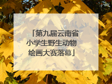 第九届云南省小学生野生动物绘画大赛落幕