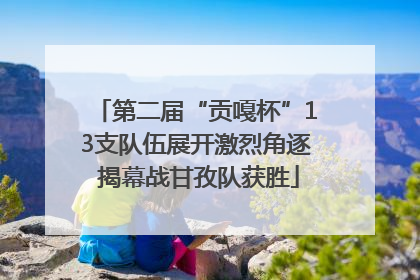 第二届“贡嘎杯”13支队伍展开激烈角逐 揭幕战甘孜队获胜