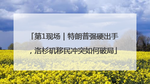 第1现场｜特朗普强硬出手，洛杉矶移民冲突如何破局