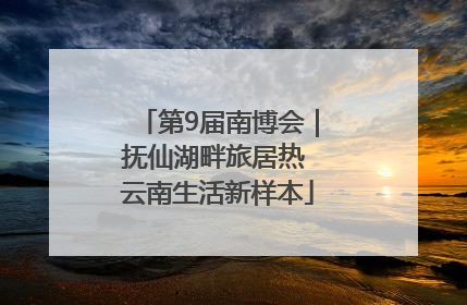 第9届南博会｜抚仙湖畔旅居热 云南生活新样本