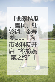 翡翠桔瓜、雪贝、红铃铛、金寿桃……上海市农科院开启“缤纷蔬菜之约”