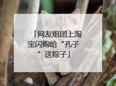 网友组团上淘宝闪购给“孔子”送粽子