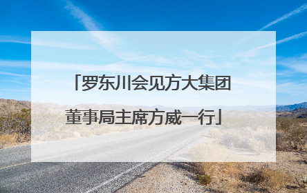 罗东川会见方大集团董事局主席方威一行