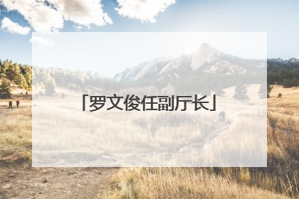 罗文俊任副厅长