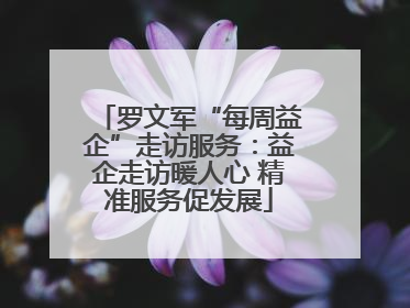 罗文军“每周益企”走访服务：益企走访暖人心 精准服务促发展