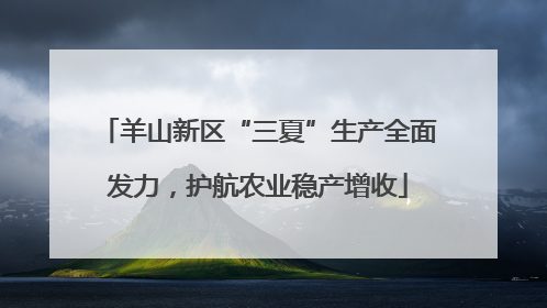 羊山新区“三夏”生产全面发力，护航农业稳产增收