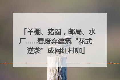 羊棚、猪圈，邮局、水厂……看废弃建筑“花式逆袭”成网红村咖