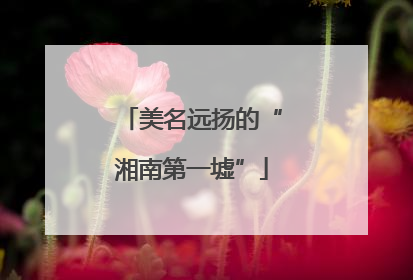 美名远扬的“湘南第一墟”