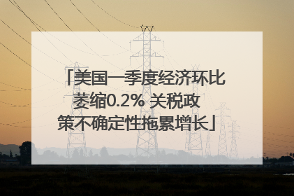 美国一季度经济环比萎缩0.2% 关税政策不确定性拖累增长