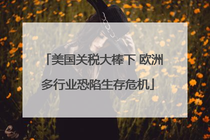 美国关税大棒下 欧洲多行业恐陷生存危机