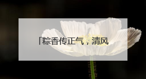 粽香传正气，清风润佳节——以廉洁文化点亮传统节日