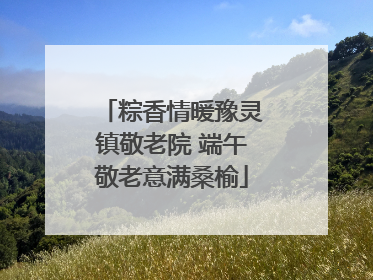 粽香情暖豫灵镇敬老院 端午敬老意满桑榆