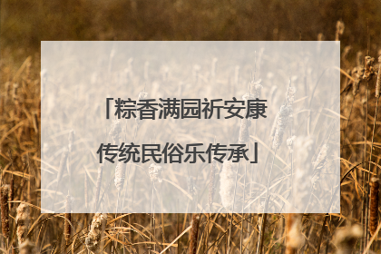 粽香满园祈安康 传统民俗乐传承