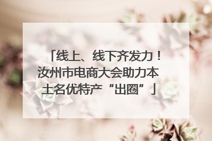 线上、线下齐发力！汝州市电商大会助力本土名优特产“出圈”