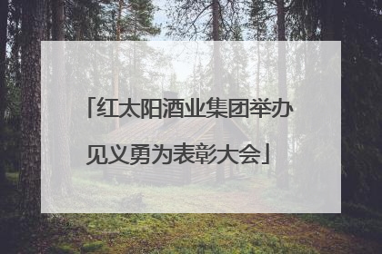 红太阳酒业集团举办见义勇为表彰大会