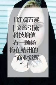 红观五溪｜文旅引流 科技增值 看一颗杨梅在靖州的“商业觉醒”