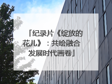 纪录片《绽放的花儿》：共绘融合发展时代画卷