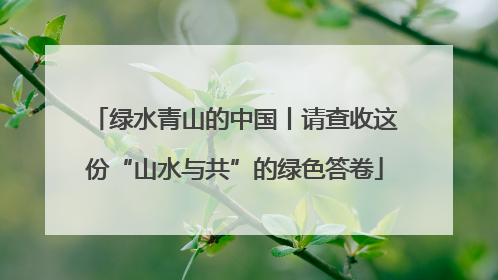 绿水青山的中国丨请查收这份“山水与共”的绿色答卷
