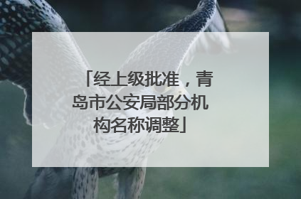 经上级批准，青岛市公安局部分机构名称调整