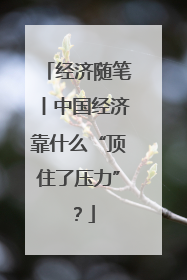 经济随笔丨中国经济靠什么“顶住了压力”？
