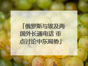 俄罗斯与埃及两国外长通电话 重点讨论中东局势
