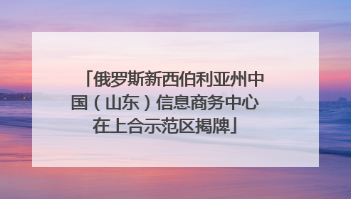 俄罗斯新西伯利亚州中国（山东）信息商务中心在上合示范区揭牌