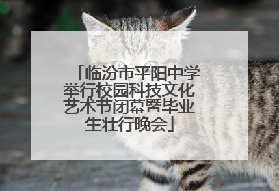 临汾市平阳中学举行校园科技文化艺术节闭幕暨毕业生壮行晚会
