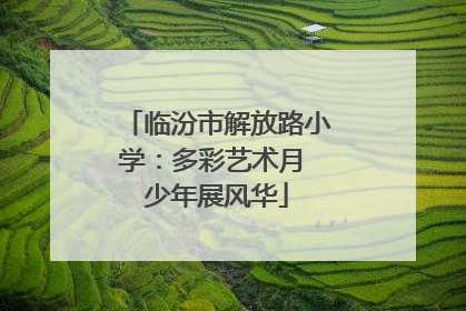 临汾市解放路小学：多彩艺术月 少年展风华