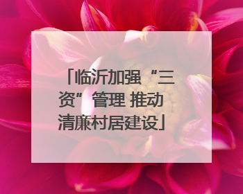 临沂加强“三资”管理 推动清廉村居建设