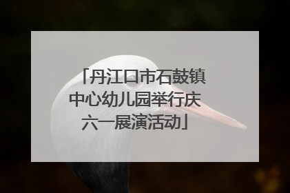 丹江口市石鼓镇中心幼儿园举行庆六一展演活动