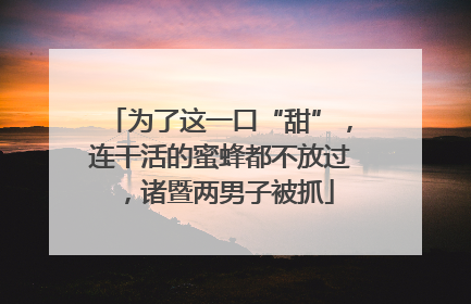 为了这一口“甜”，连干活的蜜蜂都不放过，诸暨两男子被抓