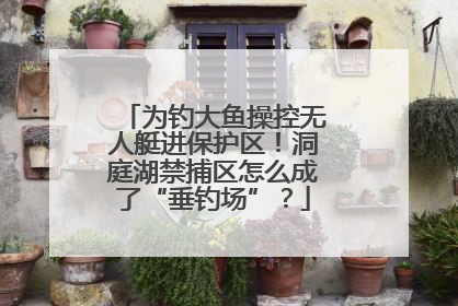 为钓大鱼操控无人艇进保护区！洞庭湖禁捕区怎么成了“垂钓场”？