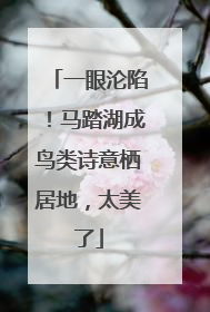 一眼沦陷！马踏湖成鸟类诗意栖居地，太美了