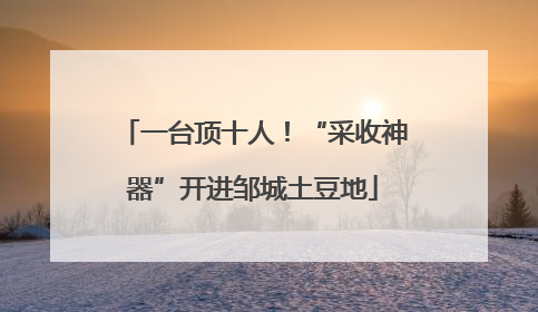 一台顶十人！“采收神器”开进邹城土豆地