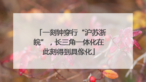 一刻钟穿行“沪苏浙皖”，长三角一体化在此刻得到具像化