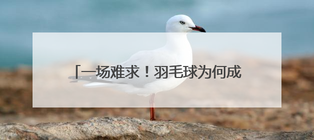 一场难求！羽毛球为何成济南“全民健身顶流”