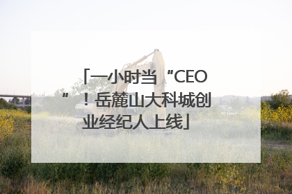 一小时当“CEO”！岳麓山大科城创业经纪人上线