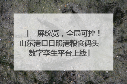 一屏统览，全局可控！山东港口日照港粮食码头数字孪生平台上线