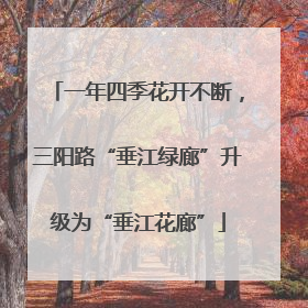 一年四季花开不断，三阳路“垂江绿廊”升级为“垂江花廊”
