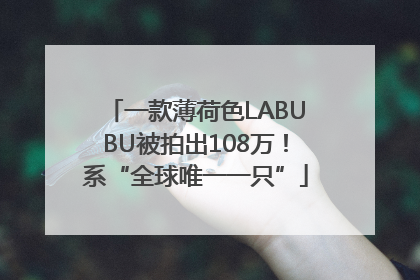 一款薄荷色LABUBU被拍出108万！系“全球唯一一只”