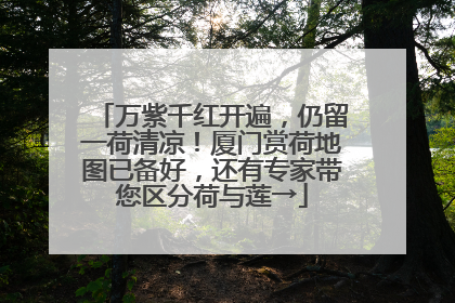 万紫千红开遍，仍留一荷清凉！厦门赏荷地图已备好，还有专家带您区分荷与莲→