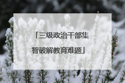 三级政治干部集智破解教育难题