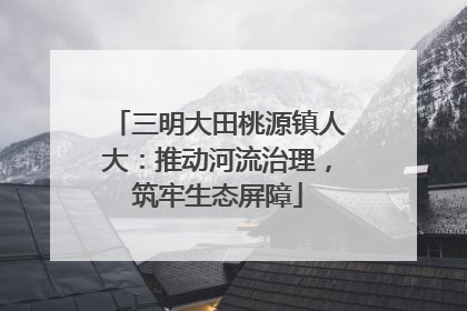 三明大田桃源镇人大：推动河流治理，筑牢生态屏障