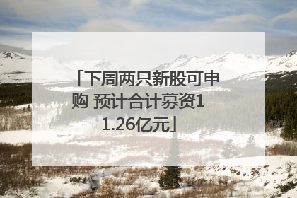 下周两只新股可申购 预计合计募资11.26亿元