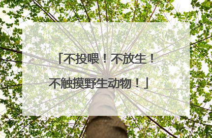 不投喂！不放生！不触摸野生动物！