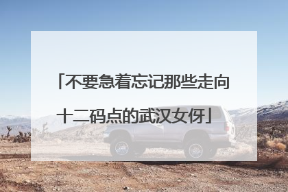 不要急着忘记那些走向十二码点的武汉女伢