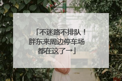 不迷路不排队！胖东来周边停车场都在这了→