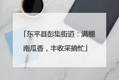 东平县彭集街道：满棚南瓜香，丰收采摘忙