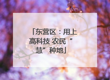 东营区：用上高科技 农民“慧”种地
